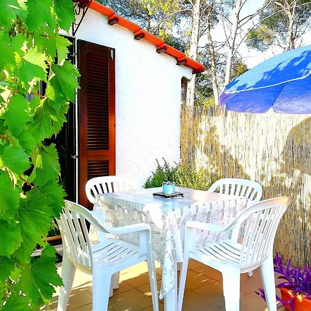 Pampas Studio, Self Check-In Poreč Exteriér fotografie