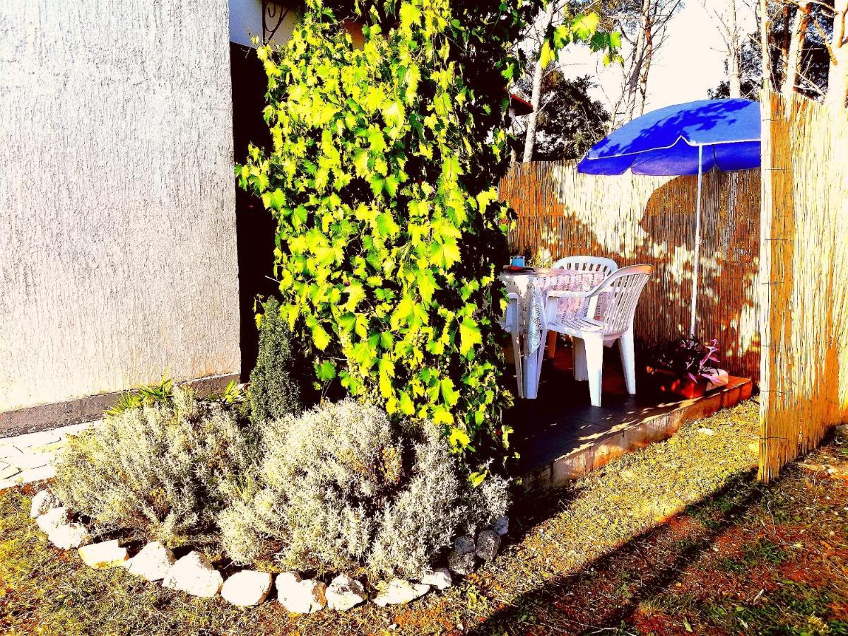 Pampas Studio, Self Check-In Poreč Exteriér fotografie